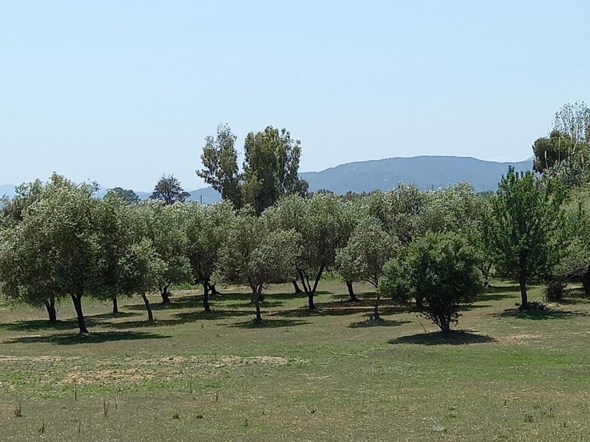 Basecamp Ogliastra - Flat Green Santa Maria Navarrese Buitenkant foto